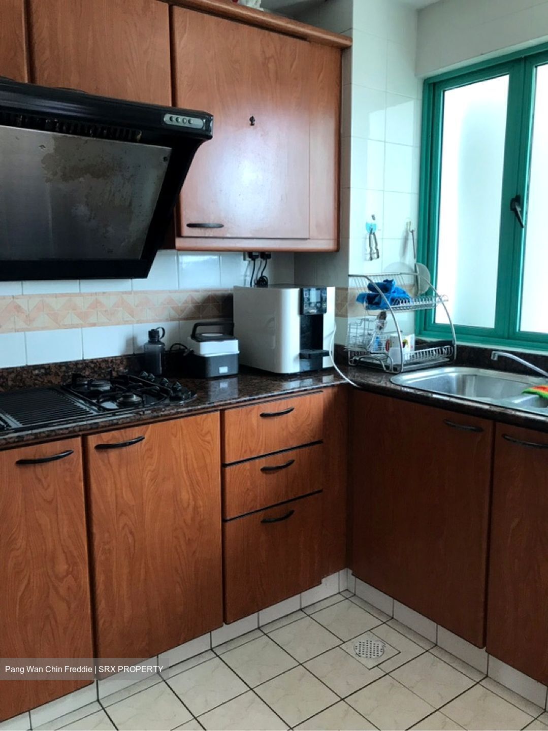 Southaven I (D21), Condominium #594468101